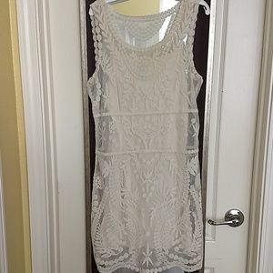 Express lace overlay dress